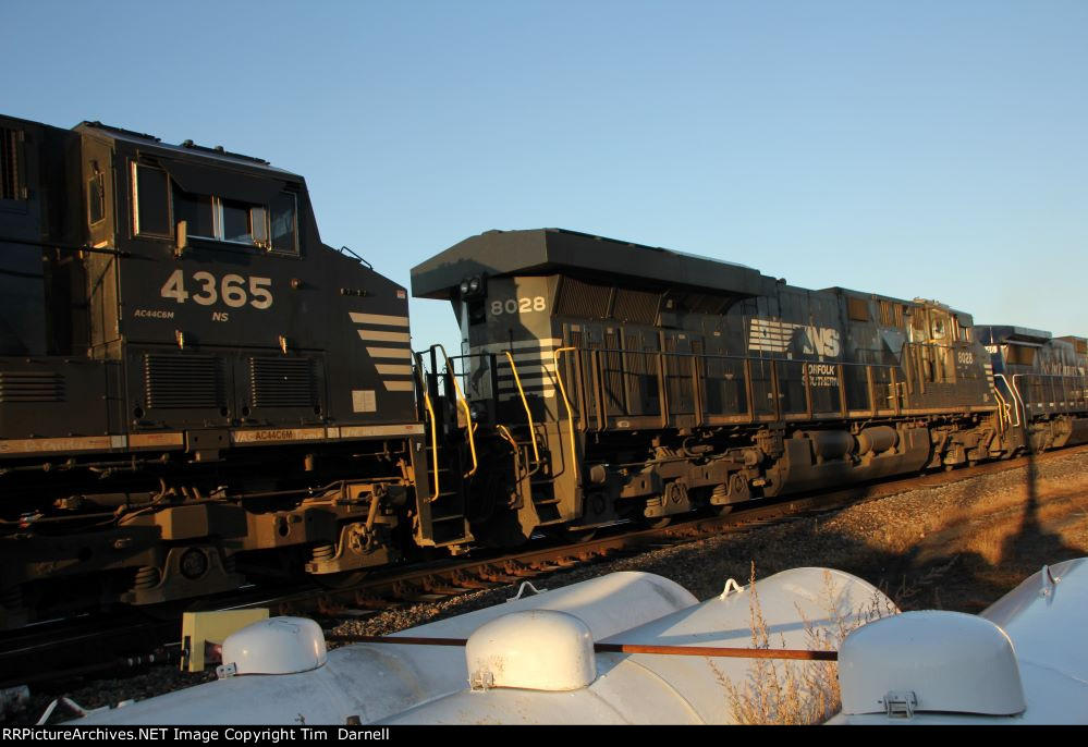 NS 8028 on NS 16R